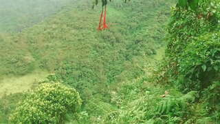 Kolumbijas Mežā, lai Sniegtu Valodu un Pārgulēja ar Svešiniekiem Sekss Apmaiņā pret Finanšu Palīdzību.