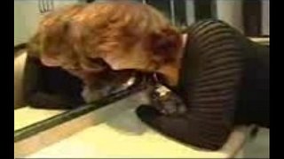 Masturbace a vyprdnul