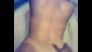 عرب کے ساتھ کتا ایک کتیا