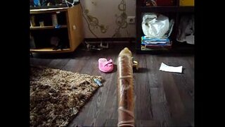 Nxehtë gomar i ndyrë