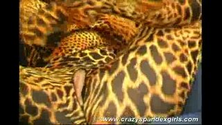 ���ਾਗਲ ਸ੍ਪੇੰਦੇਕ੍ਸ ਕੁੜੀ ਸੈਕਸ ਚਿੜਾਉਂਦੇ